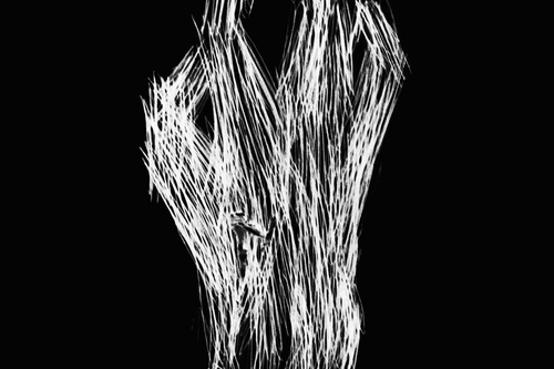 Keith Flint by sa v hrobe neobracal