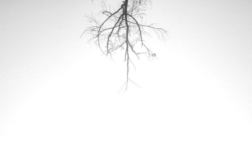 Tolerancia niekedy nestačí